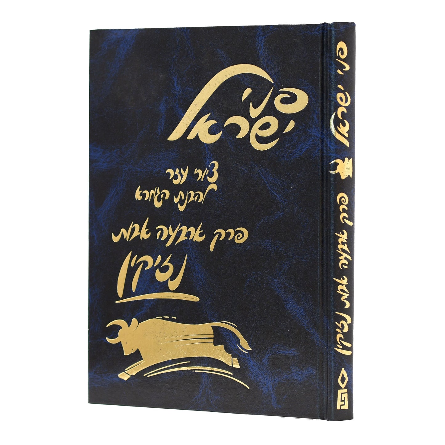 כרך - משניות מצוירות - פני ישראל